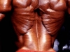 Флекс Уиллер/ Flex Wheeler