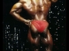 Флекс Уиллер/ Flex Wheeler