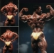 Флекс Уиллер/ Flex Wheeler