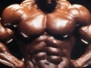 Флекс Уиллер/ Flex Wheeler