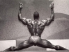 Флекс Уиллер/ Flex Wheeler