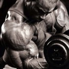 Кевин Леврон / Kevin Levrone 1