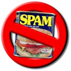 No SPAM!