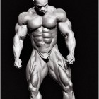 Flex Wheeler 1