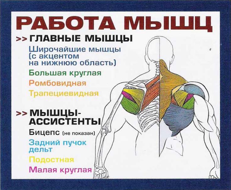 Тяга гантели одной рукой надоела? Попробуй тягу одной рукой в Смите!