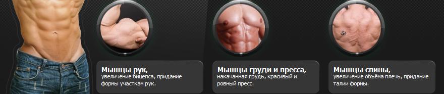 Как накачать мышцы