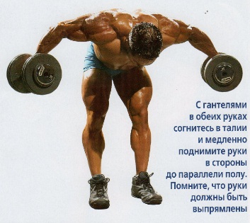 Подъемы рук в стороны в наклоне Подъемы рук в стороны в наклоне