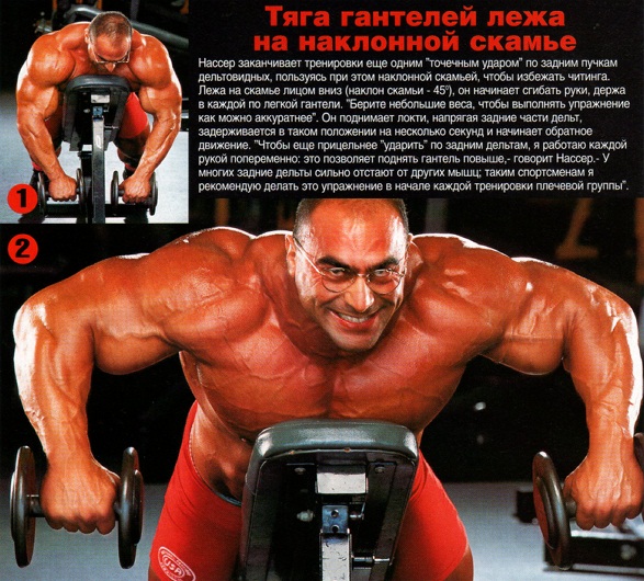 Тяга гантелей лежа на наклонной скамье