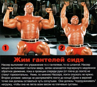 Жим гантелей сидя