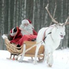 С Новым 2011 Годом!