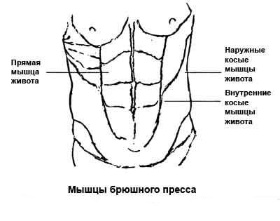 Как сделать мышцы дома Как сделать мышцы дома