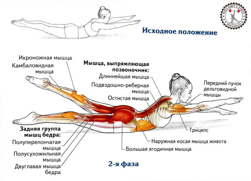 http://www.kandeleria.ru/wp-content/uploads/2017/01/kak-ubrat-zhivot-za-nedelyu-i-boka-v-domashnih-usloviyah-07.jpg