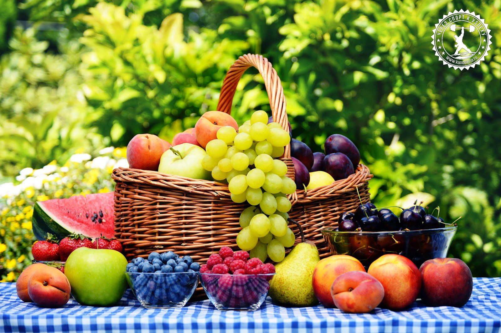 какие продукты можно кушать чтобы похудеть какие продукты можно кушать чтобы похудеть
